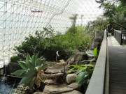 204 - Marshland
